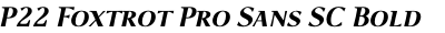 P22 Foxtrot Pro Sans SC Bold Italic